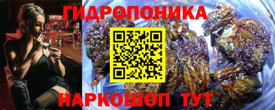 jwh Свободный