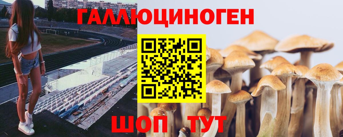Псилоцибиновые грибы Psilocybine cubensis Якутск